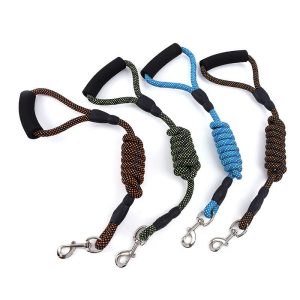 Gouden nylon honden riem