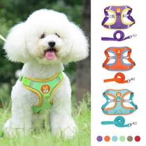 Reflecterende Hondenriem & Harnas Set – Verstelbaar en Comfortabel voor Kleine Honden